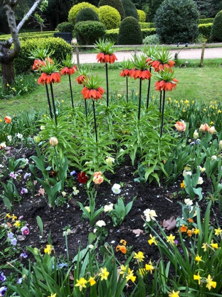 The Shakespearean Garden, Platt Fields Park